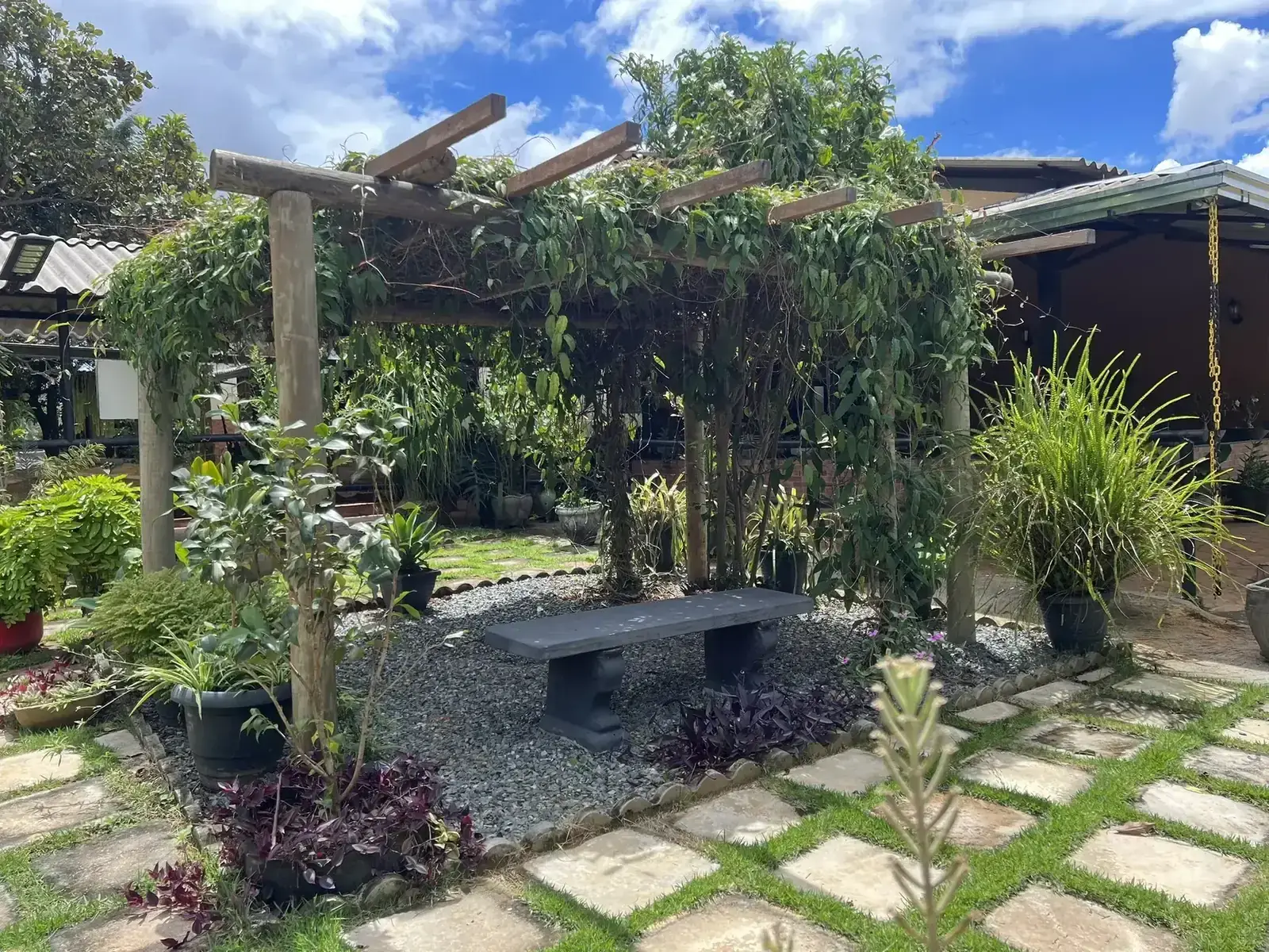 Área de natureza preservada do Cerrado em espaço para acampamento de igreja perto de Brasília